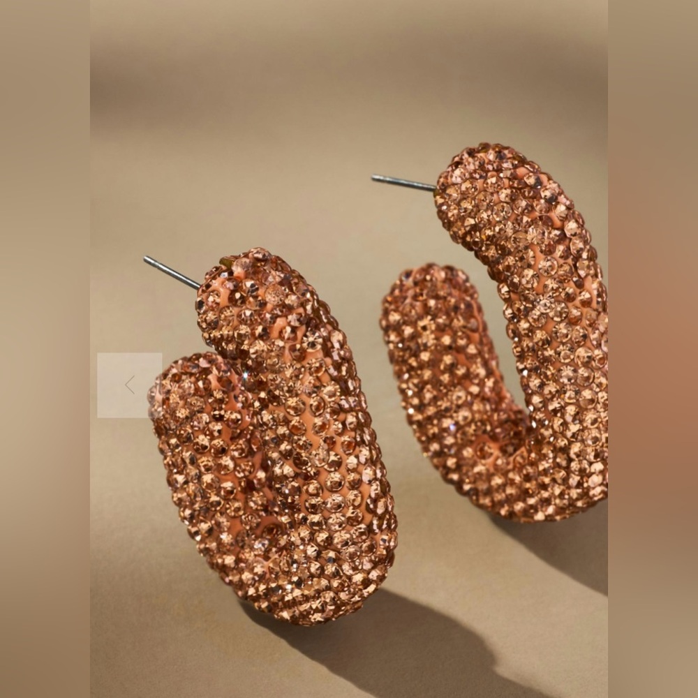 NWT Anthropologie Oblong Pave Hoop Earrings
